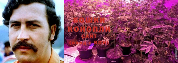 гидропоника Кулебаки