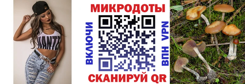 Псилоцибиновые грибы Psilocybine cubensis  Жуковский 
