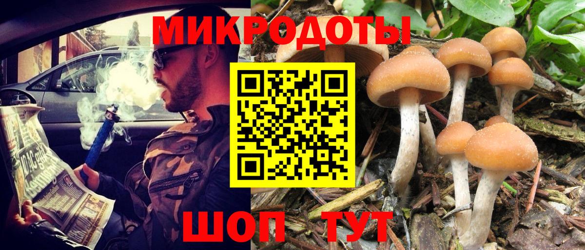 Галлюциногенные грибы прущие грибы Жуковский