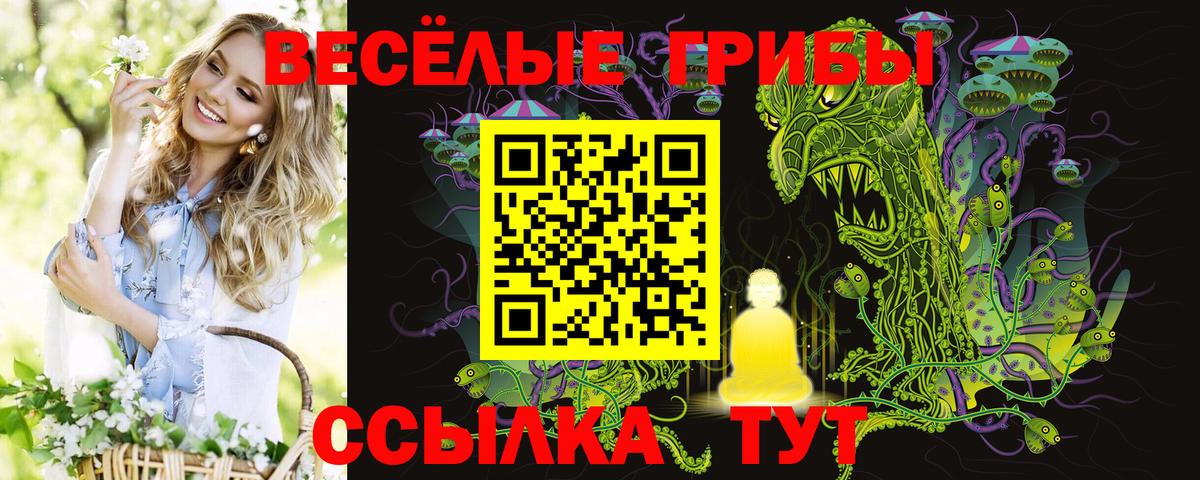 Галлюциногенные грибы Psilocybine cubensis  Вход с VPN  Жуковский 