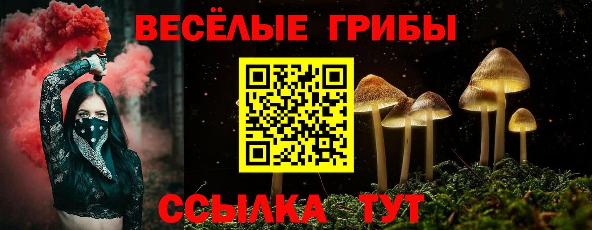 Галлюциногенные грибы MAGIC MUSHROOMS  Галлюциногенные грибы Cubensis  Жуковский 